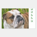 Recherche de bulldog autocollants Chiot
