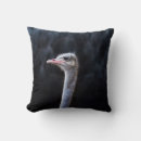 Zoek naar struisvogels kussens Portret