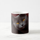Recherche de yeux oranges tasses Chat