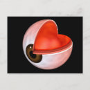 Recherche de oeil humain cartes postales Yeux humains