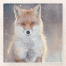 Recherche de renard rouge dessous de verres Animal