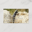 Recherche de lézards cartes visite Nature