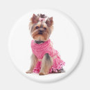 Recherche de dog magnete Pour elle