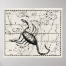 Recherche de constellations vintages posters Astronomie