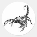 Zoek naar spinachtigen stickers Dieren