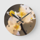 Recherche de orchidées blanches horloges Floral