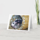 Zoek naar ratten kaarten Muizen