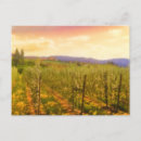 Recherche de vignoble cartes postales Vigne