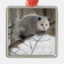Recherche de opossum ornements Marsupial