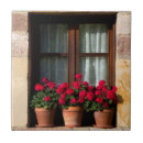 Recherche de fenêtres carreaux Décoration