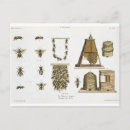 Zoek naar matthias briefkaarten Trentsensky