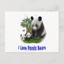 Recherche de amour panda cartes postales Animaux