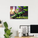 Recherche de sauterelle posters Nature