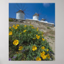 Zoek naar buren posters Stad