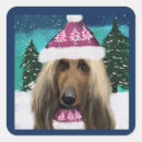 Zoek naar windhonden stickers Afghaanse windhond