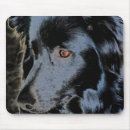 Recherche de colis tapis souris Pour elle