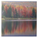 Recherche de miroir carreaux Calme