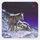 Zoek naar grijze wolf stickers Wilde dieren