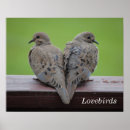 Zoek naar ornithologie posters Vogels kijken