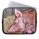 Zoek naar varken laptop sleeves Dieren