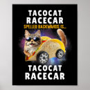 Recherche de chat mexicain posters Amoureux des chats