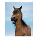 Zoek naar baard posters Schattig