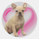 Recherche de chiot autocollants Bulldog français