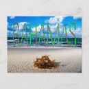 Recherche de des bahamas cartes postales Moderne