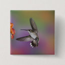 Recherche de rubis badges Oiseau
