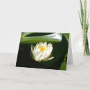 Recherche de sublimation cartes postales Blanc