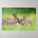 Recherche de bunny chambre enfant posters Animal