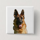 Recherche de allemand de berger badges Animaux de compagnie
