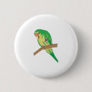 Recherche de perruches badges Animal