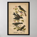 Recherche de tyrannie posters Vintage