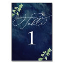 Recherche de hiver mariage table cartes Aquarelle