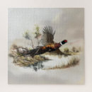 Zoek naar fazanten puzzels Vogels