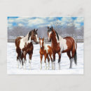 Recherche de étalon blanc cartes postales Mare