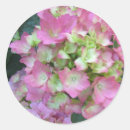 Recherche de brousse autocollants Rose