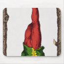 Recherche de cartes tarot tapis souris Avenir