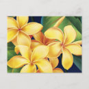 Recherche de paradise posters Hibiscus