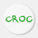 Recherche de crocodiles magnets Reptiles