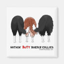 Recherche de chien de border collie magnets Animaux familiers