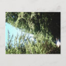 Recherche de orque posters Île