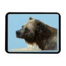 Recherche de animal sauvage magnets Faune