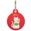 Recherche de chats médaillons Chat blanc