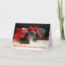 Zoek naar partners kaarten Kerstmis