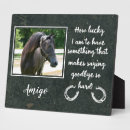 Zoek naar verlies paard geschenken Herdenking