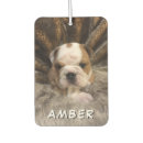 Recherche de perroquets voiture accessoires Animal