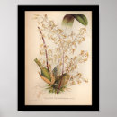 Recherche de colourful posters Flowers