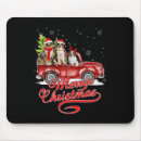 Recherche de berger australien tapis souris Noël
